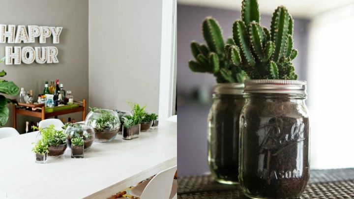 decorate-with-cactus