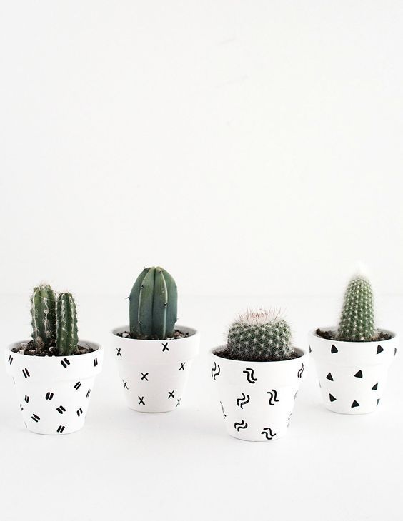 Paint black and white patterns in your pots