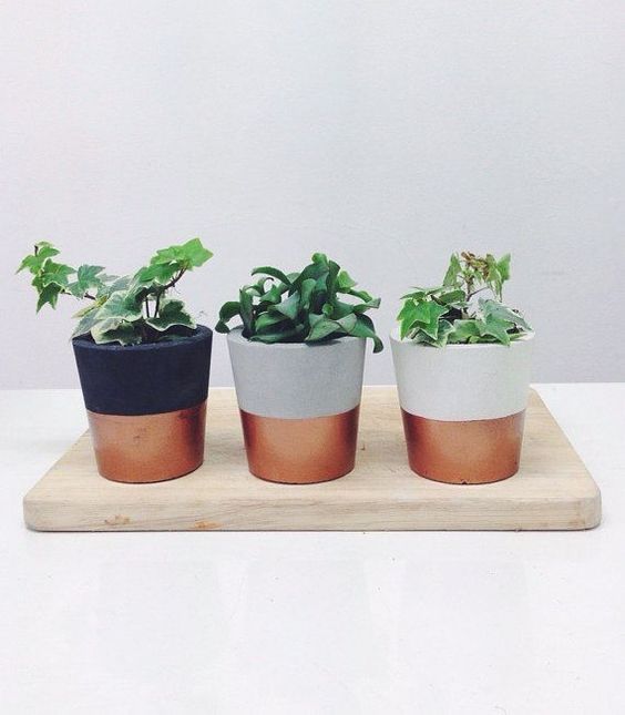 Give a modern touch to your plants with metallic paint