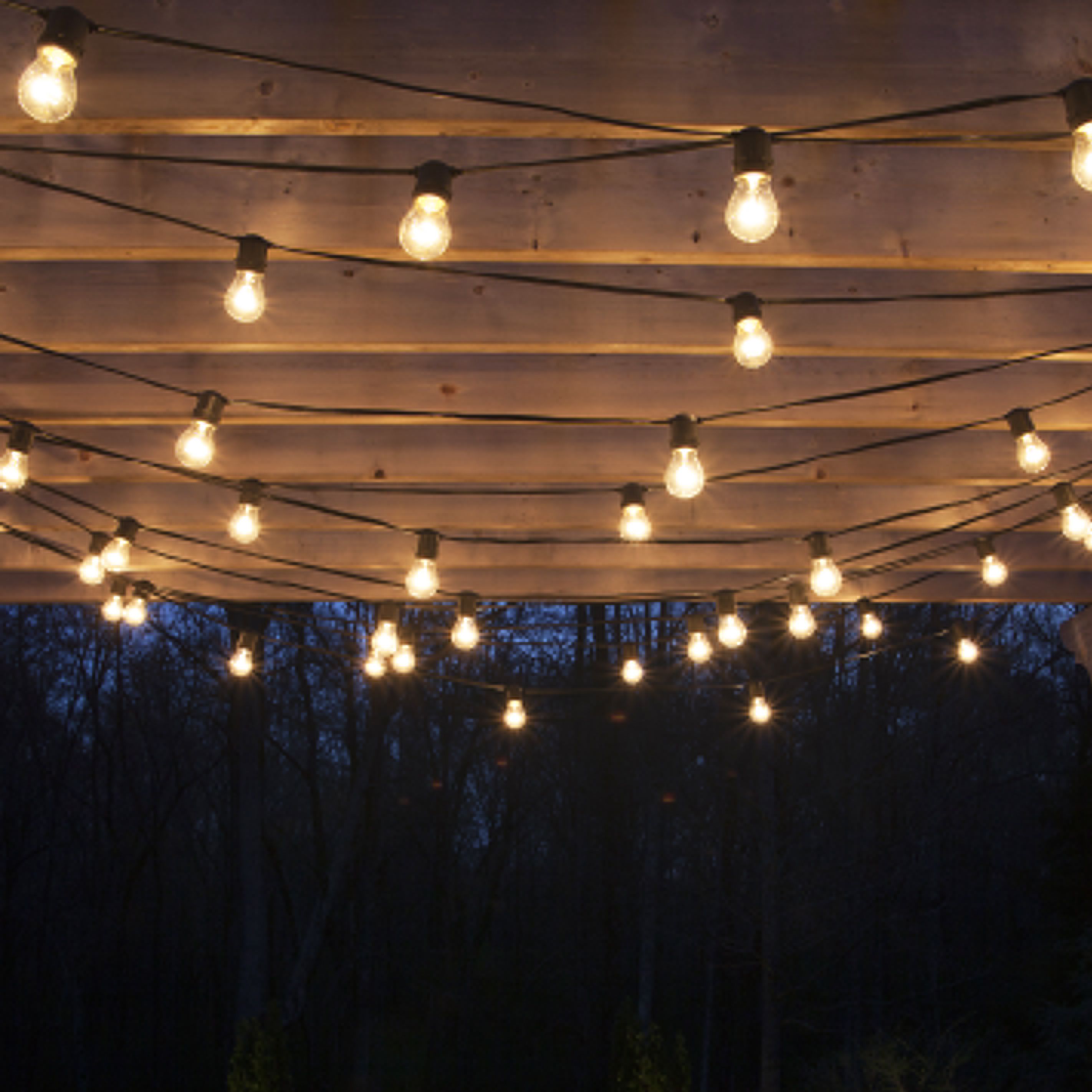 How To Hang Outdoor String Lights On Garden