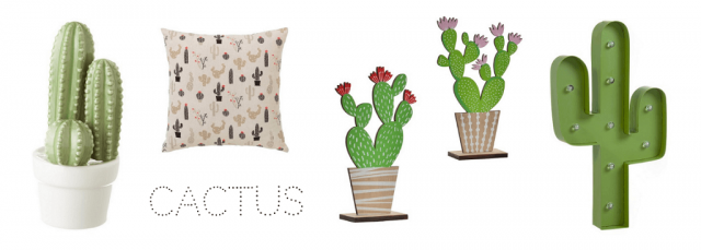 Cactus decor ideas