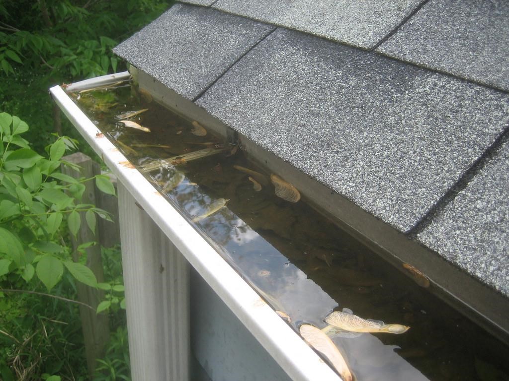 replace gutters 