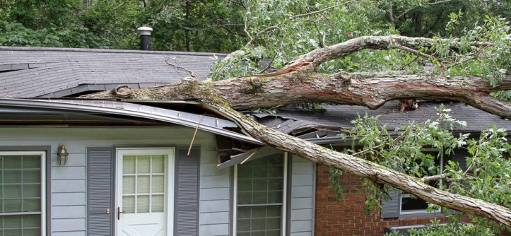 What damage can wind do to your home? - House I Love