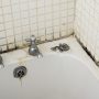 How to get rid of mold in shower