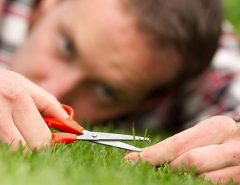 How To Finish Cutting The Grass With Scissors