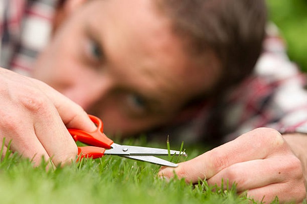 Cut grass best sale with scissors