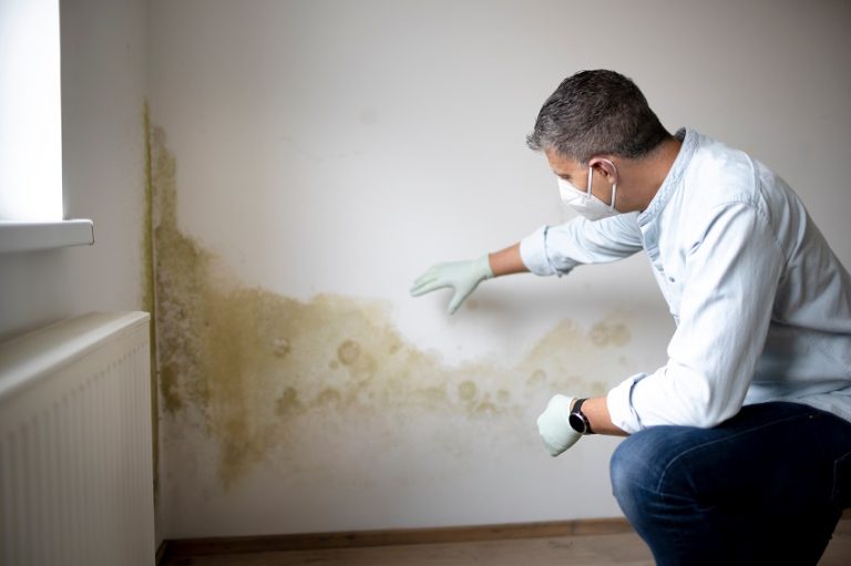 How To Prevent Mold After Water Damage House I Love