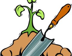 Beginners Lawn Care tips
