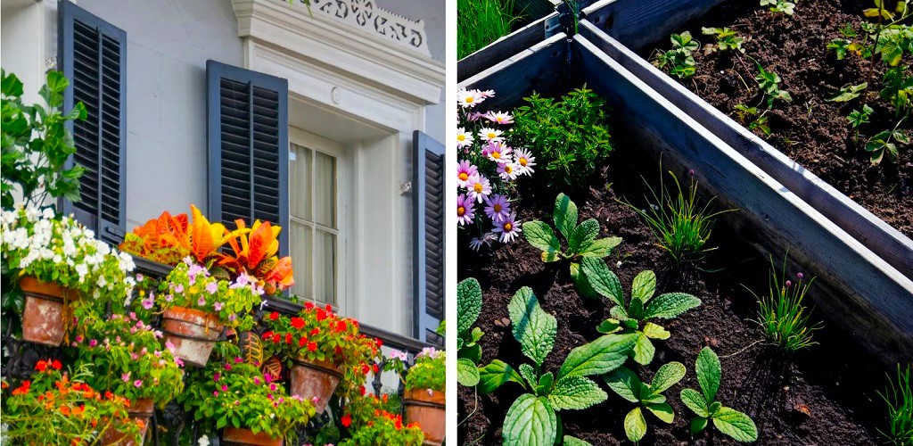 Apartment Garden vs. Traditional Garden