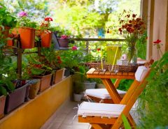 Apartment Gardening Ideas for beginners