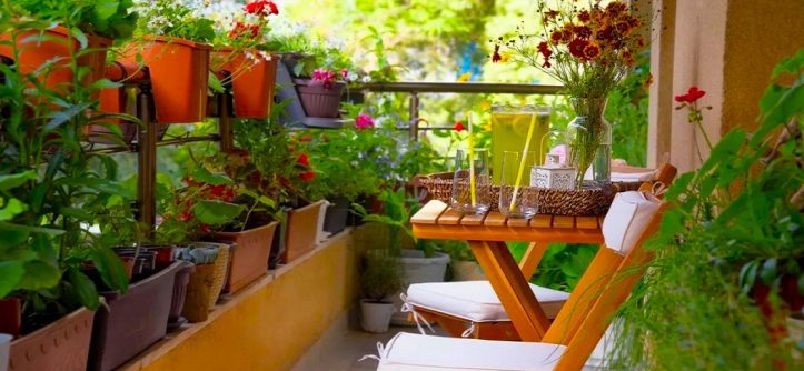 Apartment Gardening Ideas for beginners