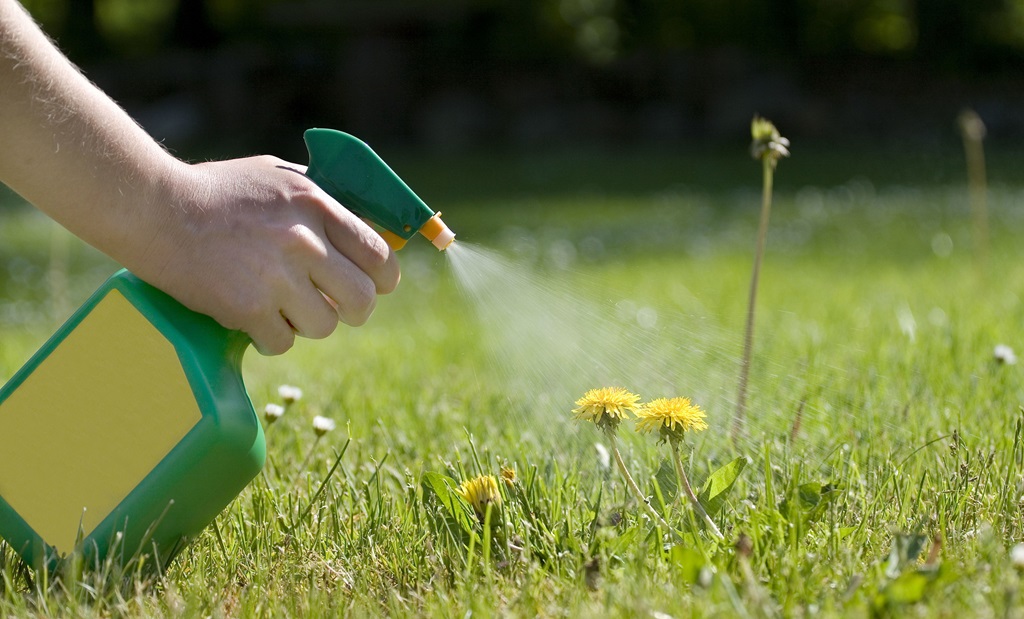 co-Friendly Weed Control Practices