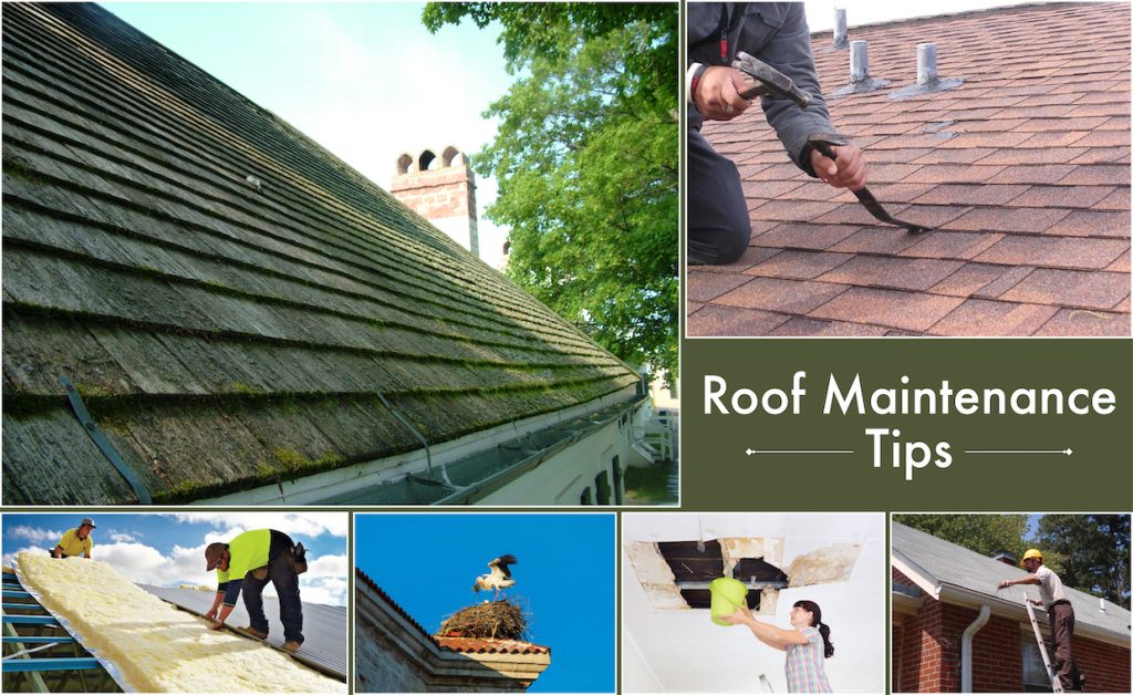 Gable Roof Maintenance: Essential Tips for a Durable Roof Overhead ...