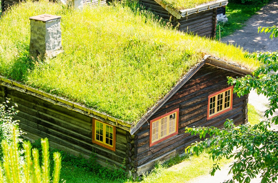 green roofing options