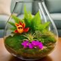 Floral Arrangements in a jar