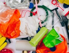 How to break your single-use plastic habit?
