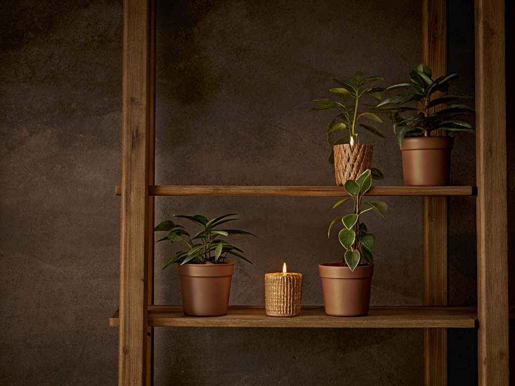 The Joy of Crafting Your Haven
