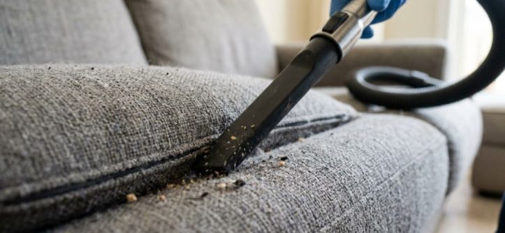 A person using a lightweight cordless vacuum cleaner with an upholstery attachment to clean a grey fabric sofa